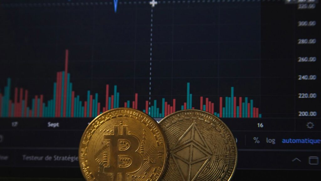 Image - 2025-12-25T024037.490