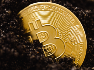 airtable_696aa4db30406-1